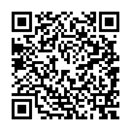QR code for ZKN0919