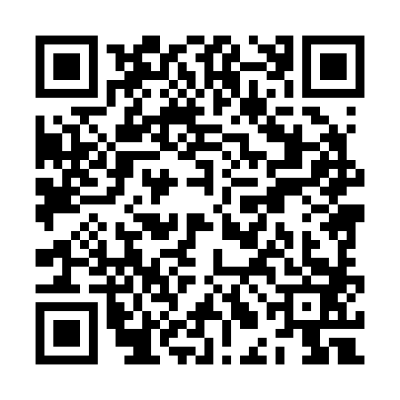 QR code for ZLH2838