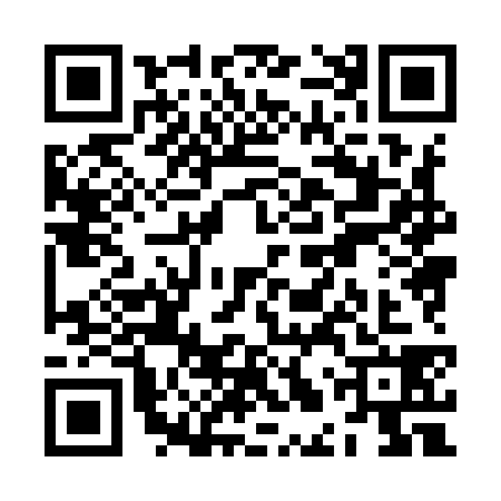 QR code for ZLX9381