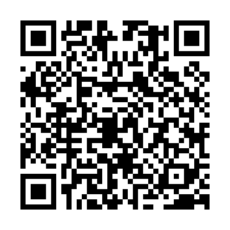 QR code for ZLZ0290