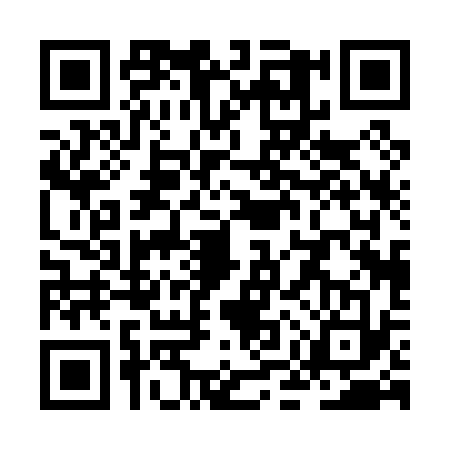 QR code for ZMP0333