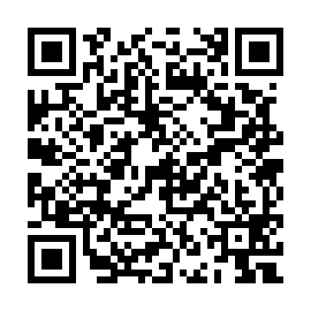 QR code for ZNS5993