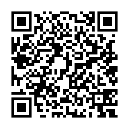 QR code for ZOW1381
