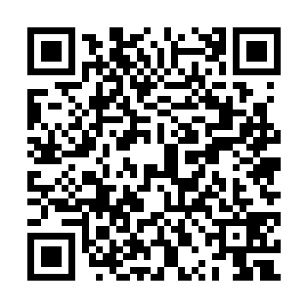 QR code for ZPE3391