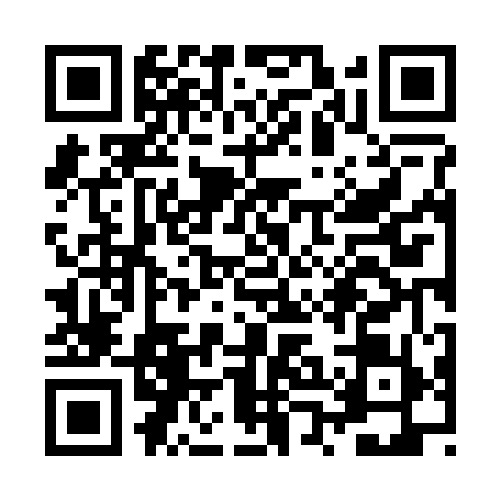 QR code for ZPN2595