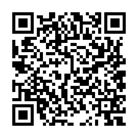 QR code for ZPV9617