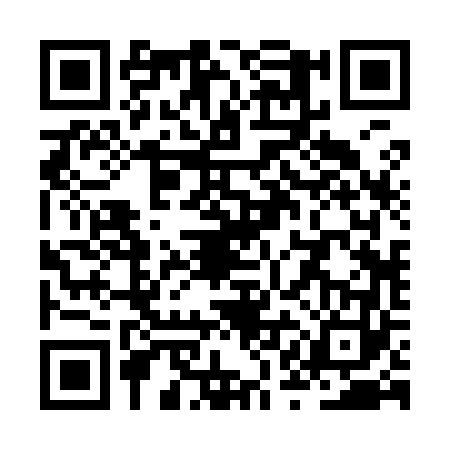 QR code for ZQB9636