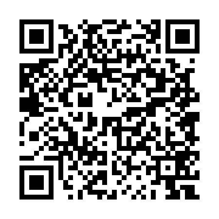QR code for ZST1599