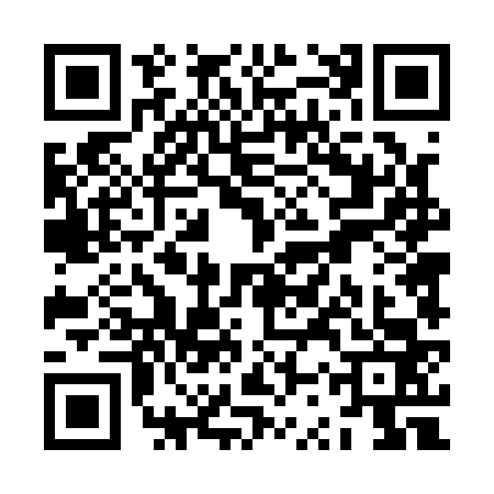 QR code for ZST1636