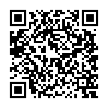 QR code for ZST4667
