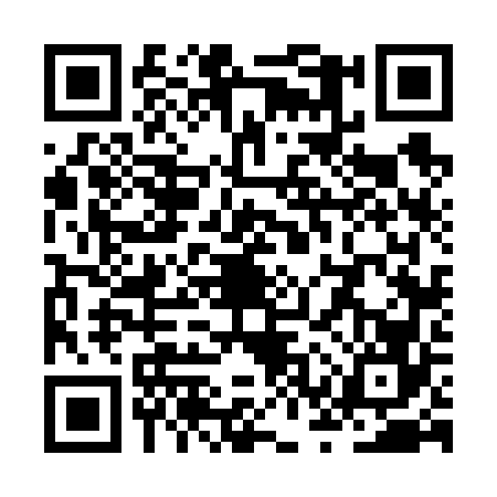 QR code for ZSV6667