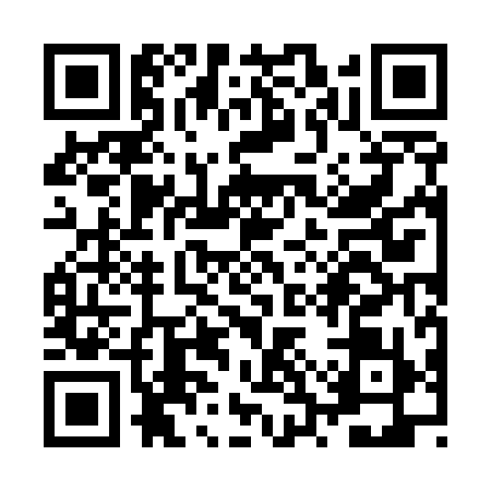 QR code for ZSZ5994