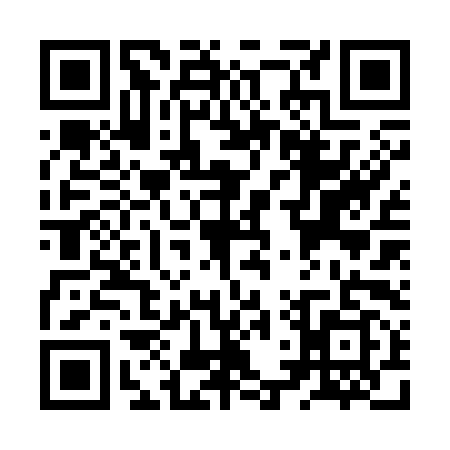 QR code for ZTR3991