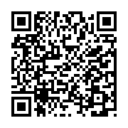 QR code for ZTV4811