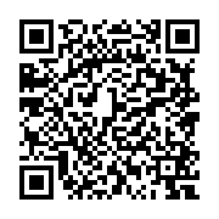 QR code for ZUX8413