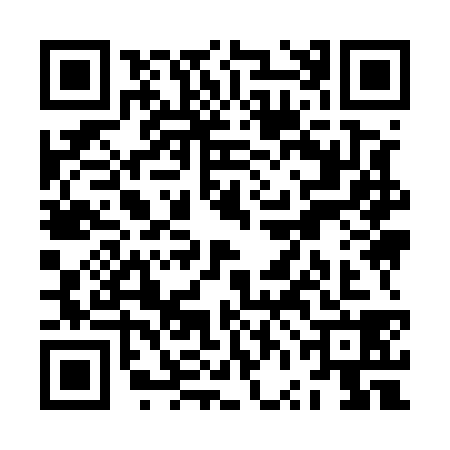 QR code for ZVI5385
