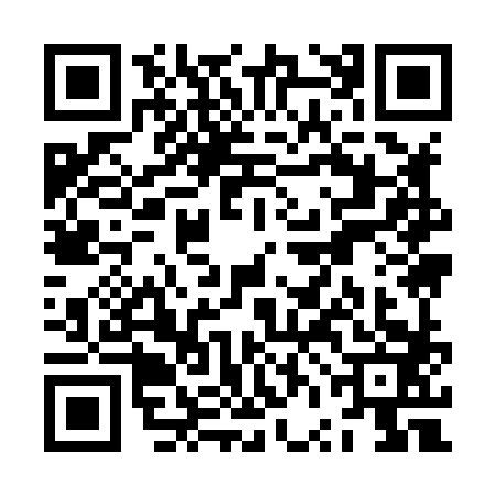 QR code for ZVI8838