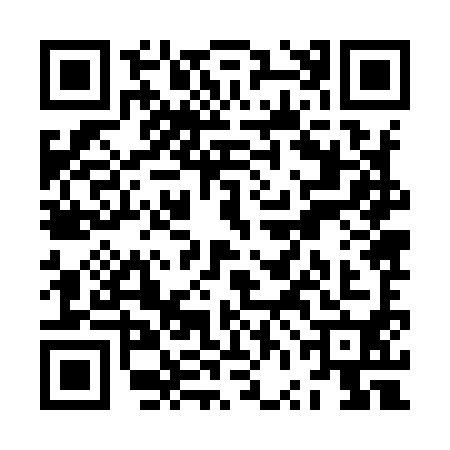 QR code for ZVJ9909