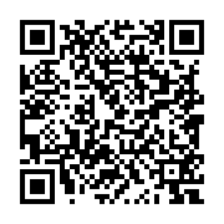 QR code for ZXL9528