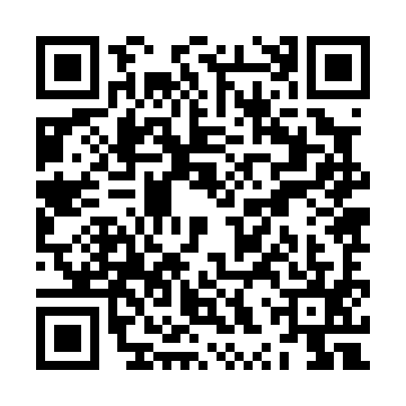 QR code for ZXZ0953