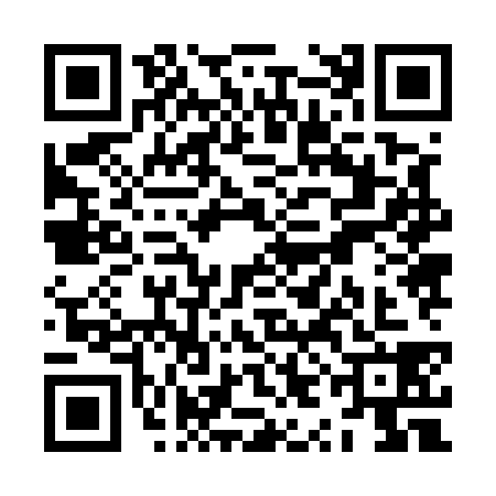 QR code for ZYJ5381
