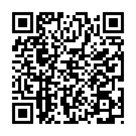 QR code for ZYL4741