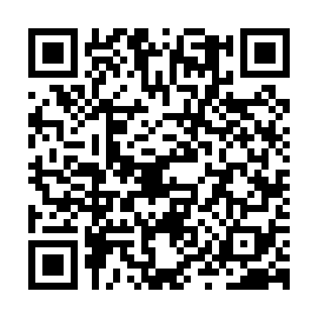 QR code for ZYV0791