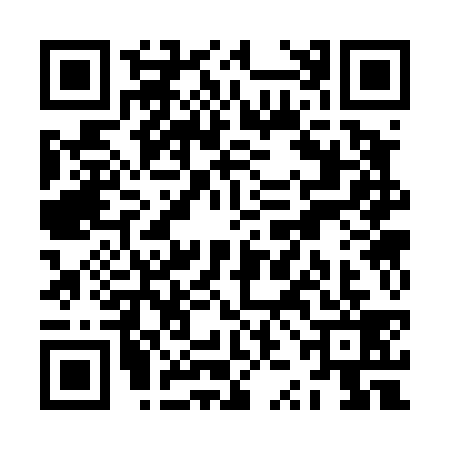 QR code for ZZC4399