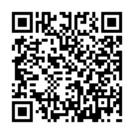 QR code for ZZL3951