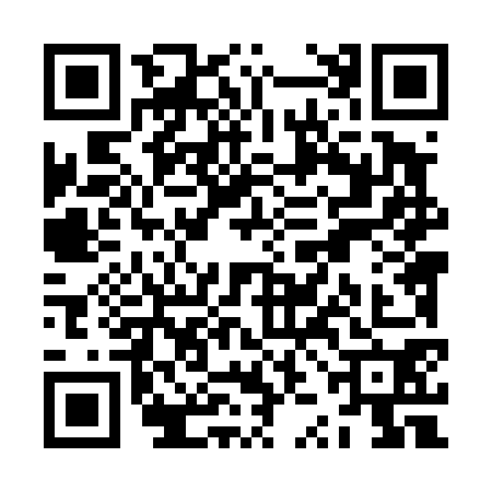 QR code for ZZL4707
