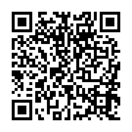 QR code for ZZT9995