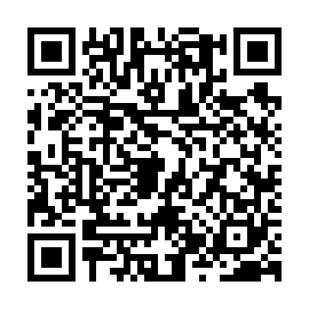 QR code for ZZV6603