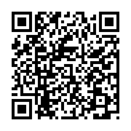 QR code for ZZV8919