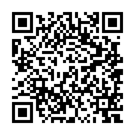 QR code for ZZZ0951