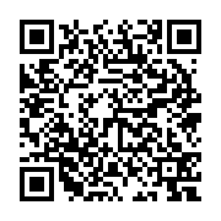 QR code for AAA2336
