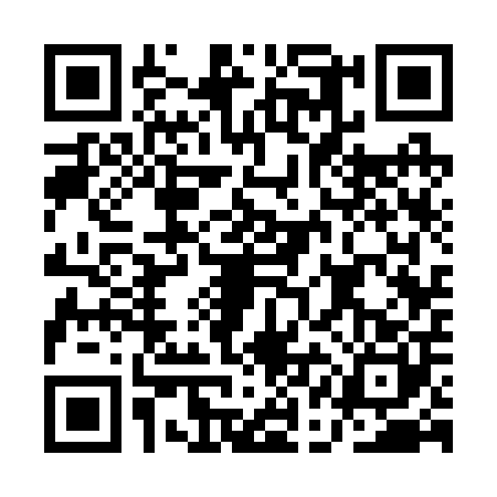 QR code for AAC2009