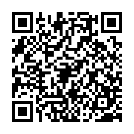 QR code for AAE3866