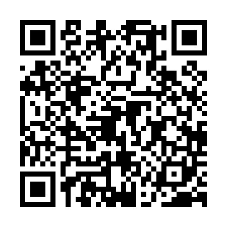 QR code for AAP0410