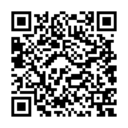 QR code for AAV0319