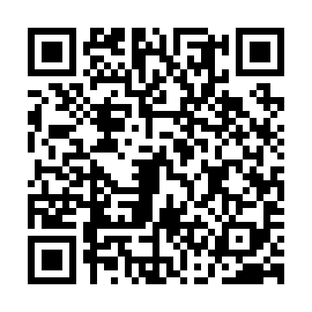 QR code for ACE2992