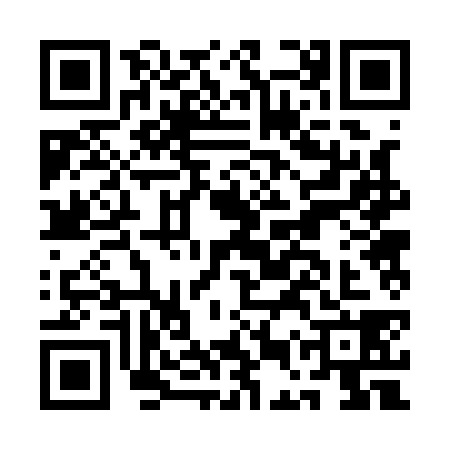QR code for AER1384