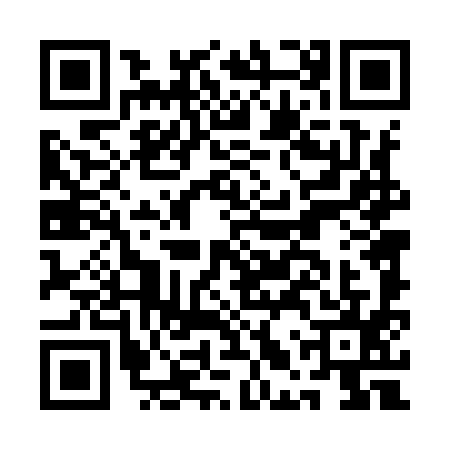 QR code for ALT9955