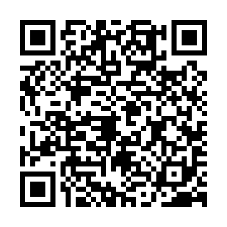 QR code for ALV1919