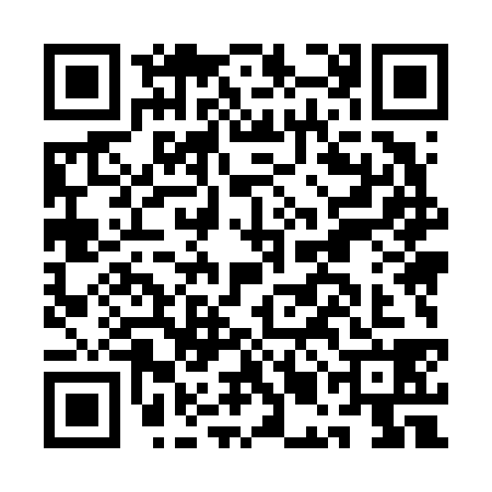 QR code for AMM6386