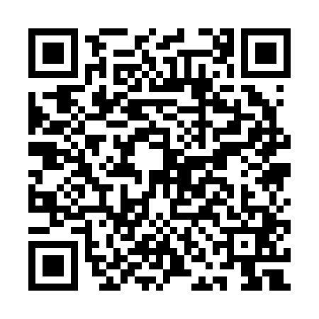 QR code for ANA2413