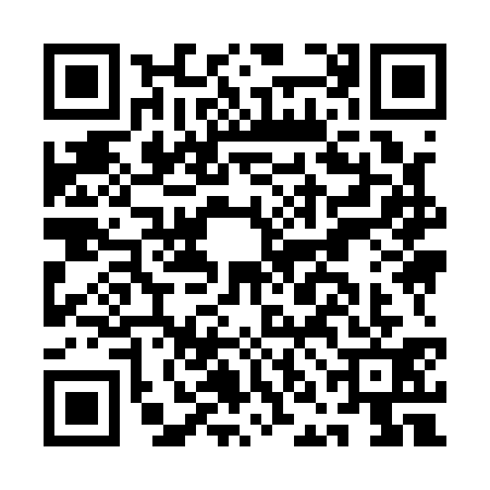 QR code for ANI1313