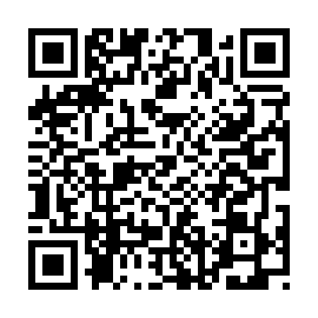 QR code for ANL0696