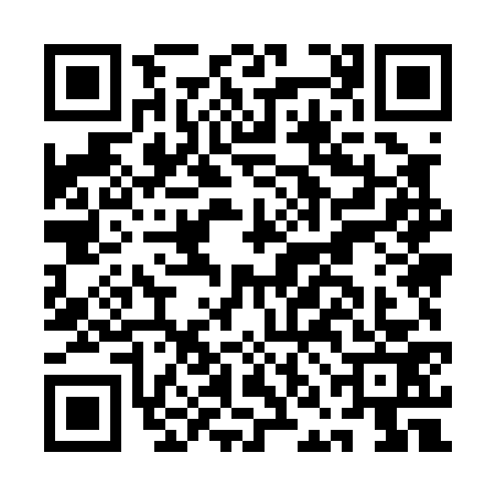 QR code for ANM0738