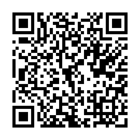QR code for ANM3881