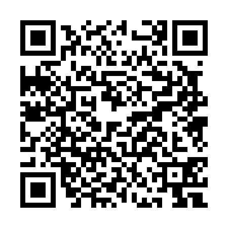 QR code for ANP0306